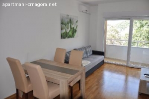 Jednosoban apartman u Becicima "Oliva 3"